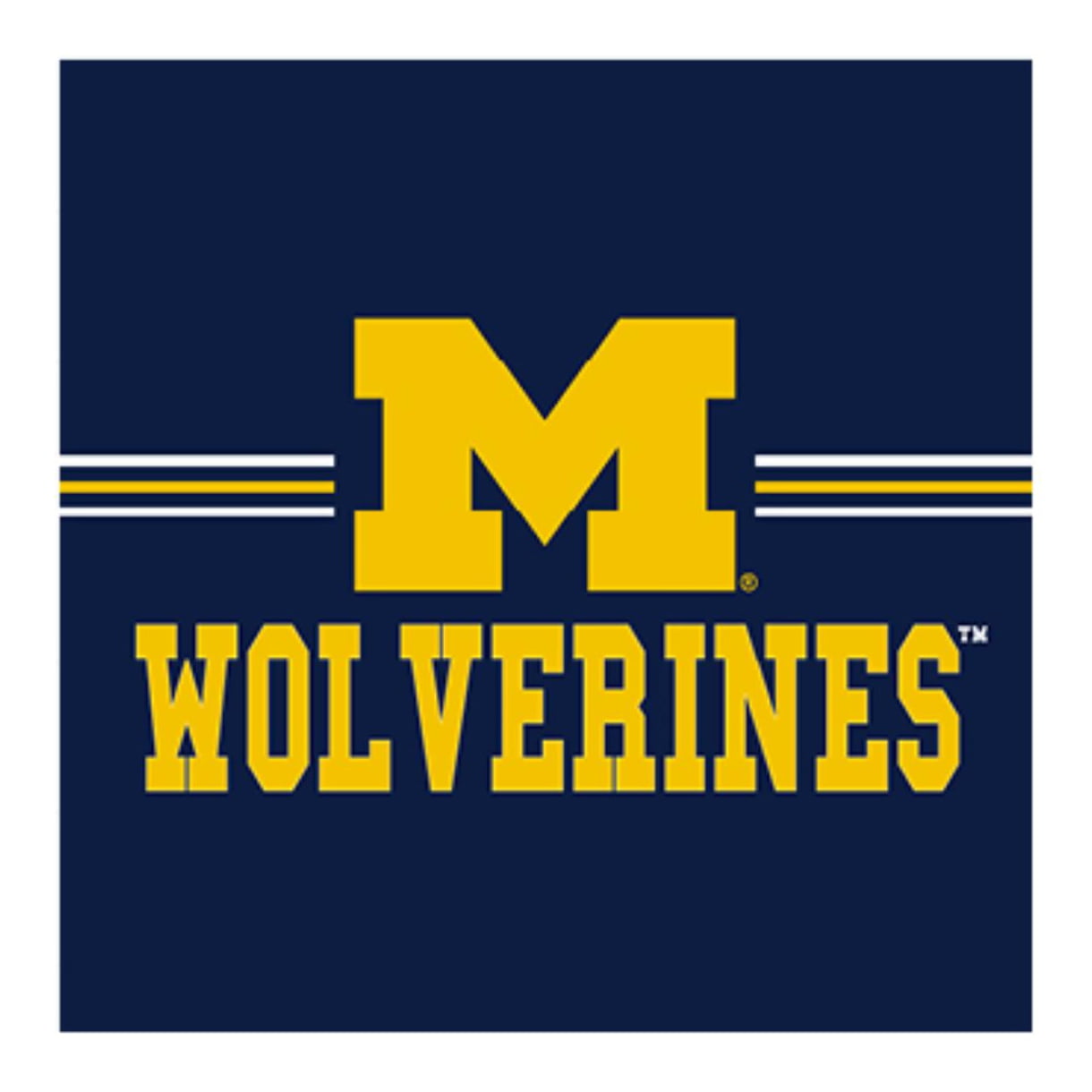 Michigan Wolverines 12 quot x 12 quot Movable Wall Tile Sign Walmart com