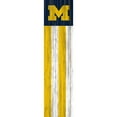 thumbnail image 1 of Michigan Wolverines 48'' Team Flag Leaner, 1 of 1