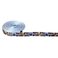 thumbnail image 1 of Mickey Mouse And Friends Cartoon Characters Grid 1" Wide 3 Yards Long Repeat Ribbon, 1 of 1