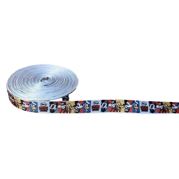 Mickey Mouse And Friends Cartoon Characters Grid 1" Wide 3 Yards Long Repeat Ribbon