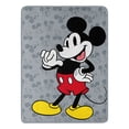 thumbnail image 1 of Mickey Mouse This Is Mickey Kids Micro Raschel Throw Blanket, 1 of 5