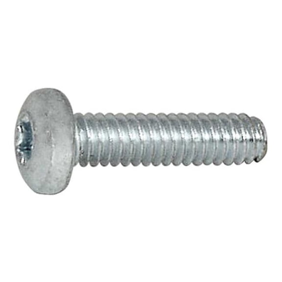 Micro 100 Torx Screw - (M2.5 x T-8) 16-1020
