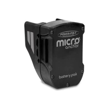 Micro Battery Pak Charger