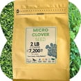 thumbnail image 1 of Flawn Seed Kits Micro Clover var. Pipolina Seeds, 2 lbs, 7200 Sqft, Low Maintenance Perennial Ground Cover, 1 of 9