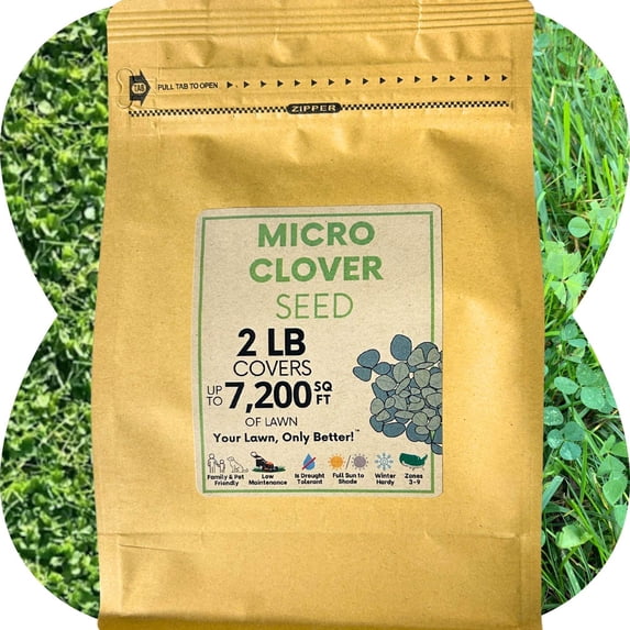 Flawn Seed Kits Micro Clover var. Pipolina Seeds, 2 lbs, 7200 Sqft, Low Maintenance Perennial Ground Cover