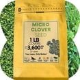 thumbnail image 1 of Flawn Seed Kits 1 Lb Micro Clover Var. Pipolina Seeds, Low Maintenance Perennial Ground Cover, 1 of 9