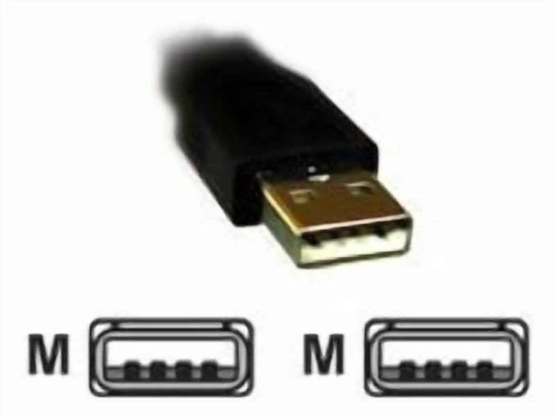 Micro Connectors E07-124 10 ft. USB 2.0 USB-A M-M Cable, Beige