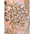 thumbnail image 1 of Micro Landscape Design 2 lb (1.5 Quarts) Gritty Mix Pumice Based / Excellent Soil-less Potting Medium / Perfect Potting Soil for Lithops Succulent, 1 of 7