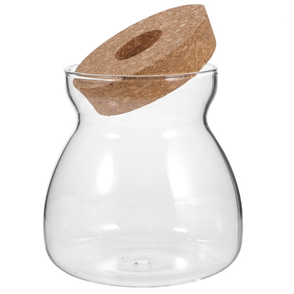 Micro Landscape Ecological Bottle Decor Glass Terrarium Jar Glass Ball Terrarium Micro Landscape Container Office