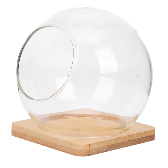 1 Set of Micro Landscape Plant Glass Flowerpots Assorted Color Synthetic Material for Storage Use