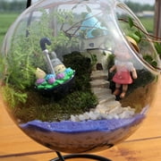 Micro Landscape Ecological Bottle Transparent Flowerpot Hanging Glass Vase Handicraft Home Decoration