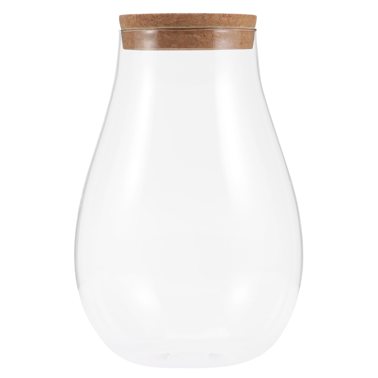 Bryophyte Ecological Bottle Plant Water with Straw Terrarium Container ...