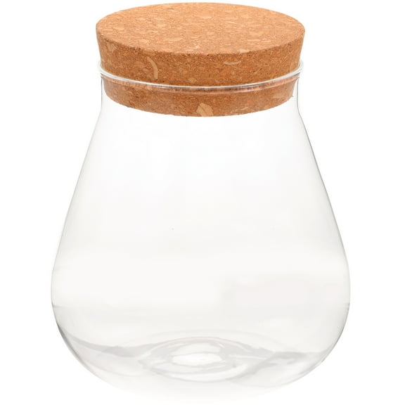 Micro Landscape Ecological with Cork Small Glass Jar Mini Vase Carafe with Lids Terrarium Jar