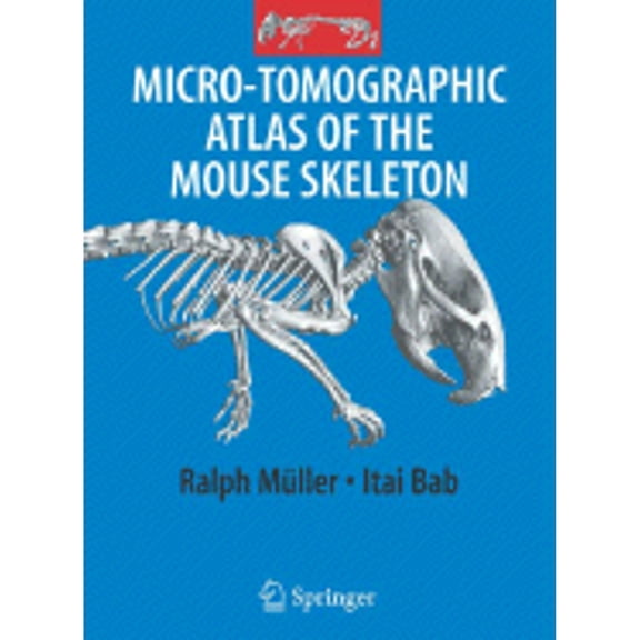 Pre-Owned Micro-Tomographic Atlas of the Mouse Skeleton (Hardcover) by Itai A Bab, Carmit Hajbi-Yonissi, Yankel Gabet
