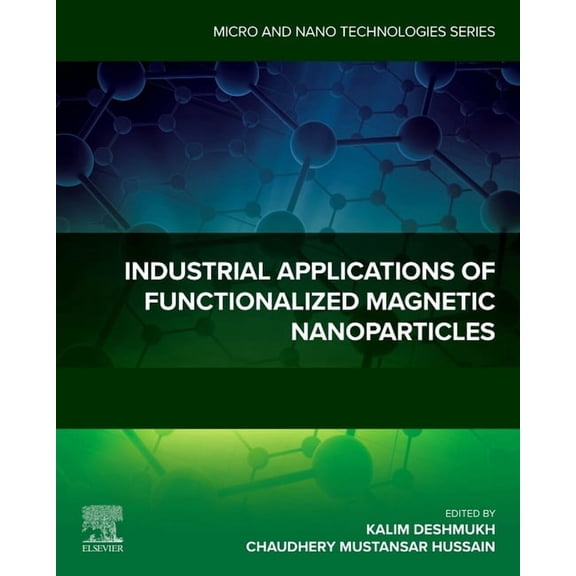 Micro and Nano Technologies Industrial Applications of Functionalized Magnetic Nanoparticles, (Paperback)