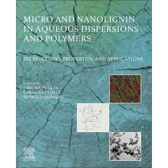 Micro and Nanolignin in Aqueous Dispersions and Polymers: Interactions, Properties, and Applications, (Paperback)