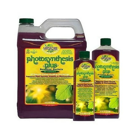 Microbe Life Photosynthesis Plus Pint