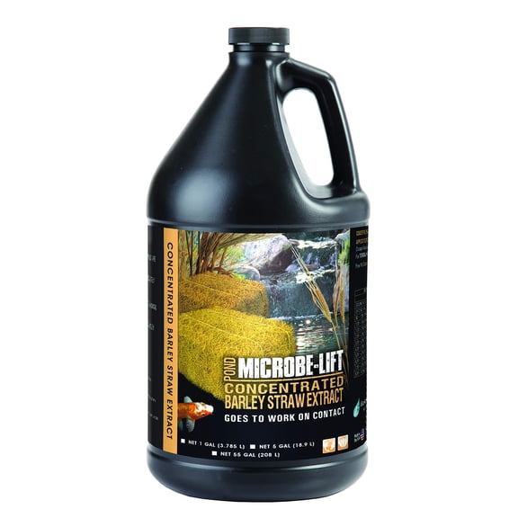 Microbe Lift Barley Straw Concentrated Extract - Efficient Pond Conditioner