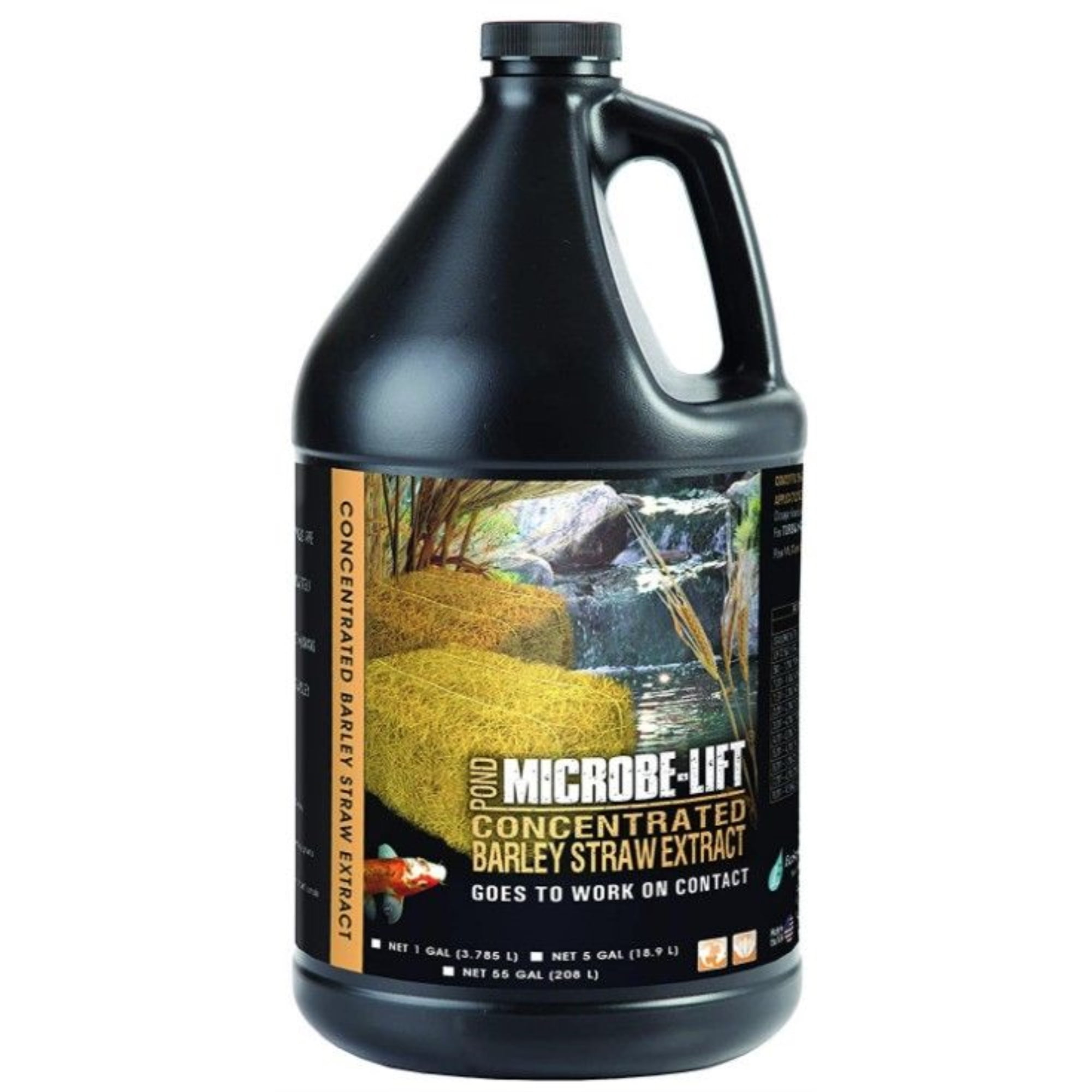 1 Gallon Black Barley Straw Extract Pond Conditioner