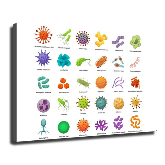 Microbial Bacteria Chart Wall Art Poster Modern Wall Art Lving Room Wall Art HD Prints Picture