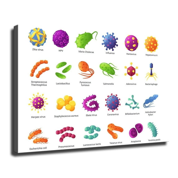 Microbial Bacteria Chart Wall Art Poster Modern Wall Art Lving Room Wall Art Picture