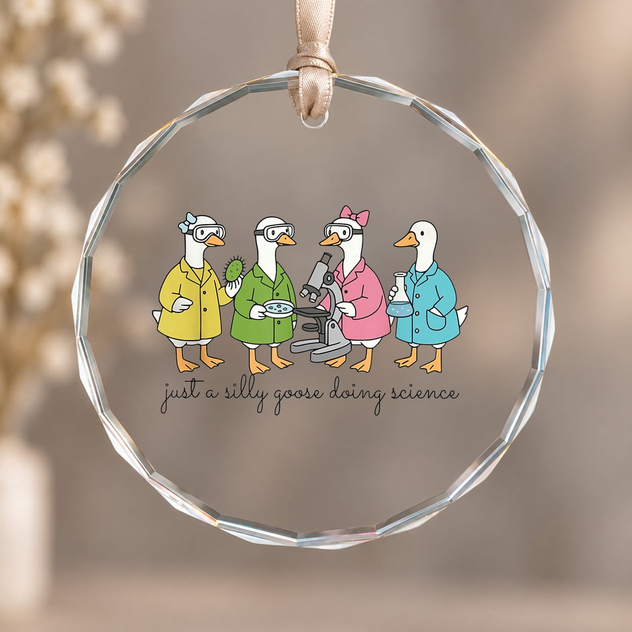 Microbiology Goose Science Teacher Microscope Ornament, Keepsake Decor ...