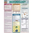 thumbnail image 1 of Pre-Owned Microbiology (Quickstudy Reference Guides - Academic) (Unknown) 1572225092 9781572225091, 1 of 1