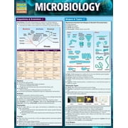 Microbiology a QuickStudy Laminated 6-Page Reference Guide Other