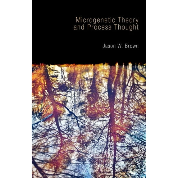 Microgenetic Theory and Process Thought (Paperback)