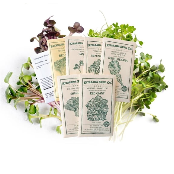 Microgreen Garden Assortment Non-GMO Asian Green Mix 7 Varieties: Tokyo Bekana, Mizuna, Tatsoi, Red Giant, Radish, Kintsai Colorful, Fast-Growing Salad, Garnish, Sandwich Heirloom Seed Mix