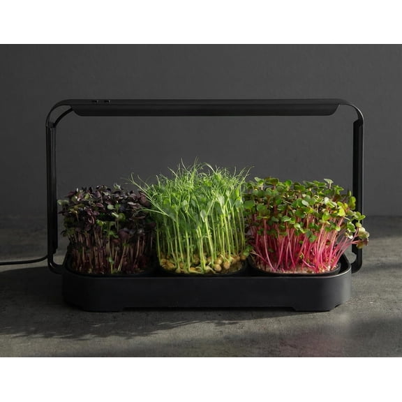 Microgreens Growing Kit Indoor, Greens Indoor Herb Garden Kit with LED Light, 3 Microgreens Growing Trays, 6 Jute Mats - Indoor Grow Kit & Herb Growing Kit (No Seeds)