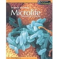 thumbnail image 1 of Pre-Owned Microlife: From Amoebas to Viruses (Science Answers) (Unknown) 1403447683 9781403447685, 1 of 1