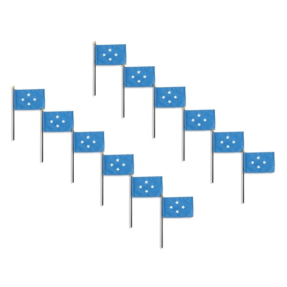 Micronesia 4in x 6in Flag - 12 PK
