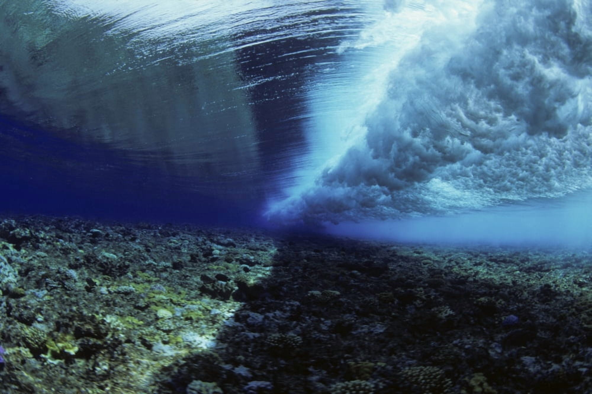 Micronesia Ocean swell seen from underwater over reef Yap Canvas Art - Dave Fleetham Design Pics (17 x 11)