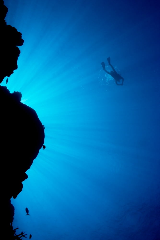 Micronesia Yap Light Rays Shining Through Reef Canyon Diver In Distance Canvas Art - Dave Fleetham Design Pics (22 x 34)