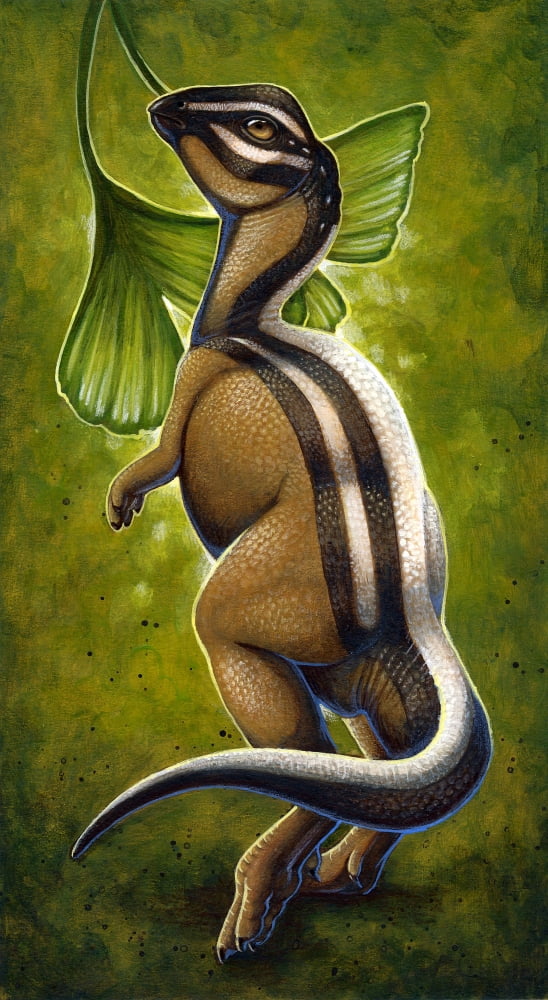 Micropachycephalosaurus a tiny dinosaur of the Late Cretaceous Period Canvas Art - H Kyoht LutermanStocktrek Images (11 x 19)
