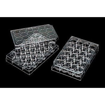 Microplate, Large (24 Wells), Pack Of 10