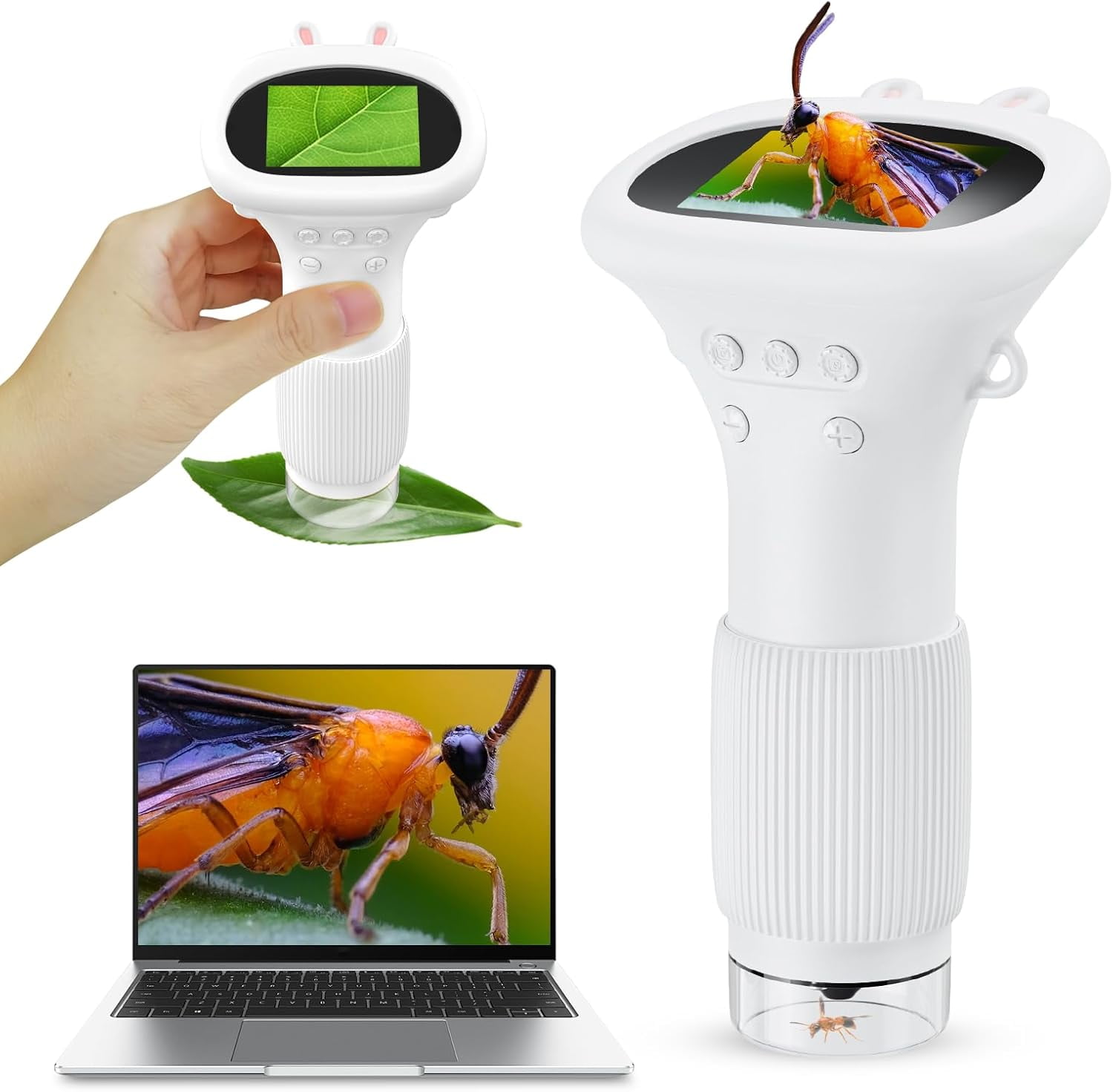 8-Quart Digital Air Fryer