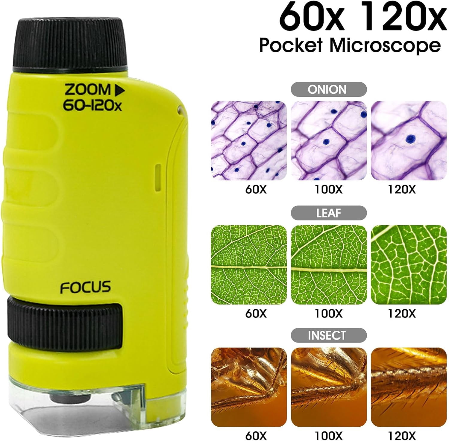 Microscope for Kids, Pocket Microscope for Minilabsters with 12 ...