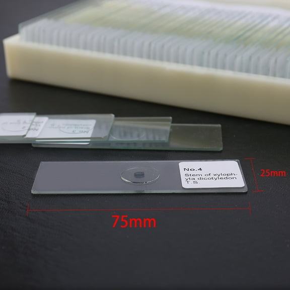 Microscope Slides,Slides Science Slips Portable Science Cover Science Cover Portable Educational Microscope Science Slips Microscope Slides / Ensemble Animal Tissues Sample Animal