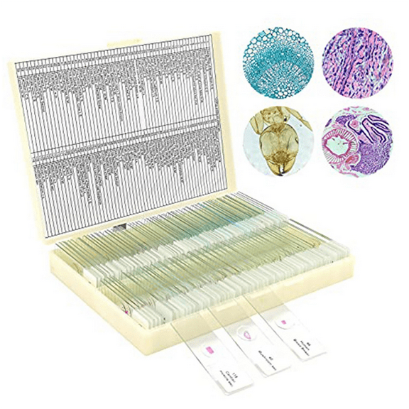 Microscope Slides with Specimens From Children, Microscope Slides for Adult Microbiology In Children,100PC,1Set * microscope slides(100pcs),As Shown