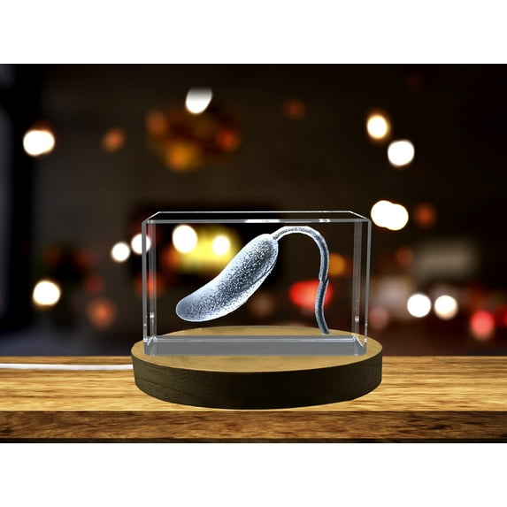Microscopic Insight: 3D Engraved Crystal Vibrio Germ