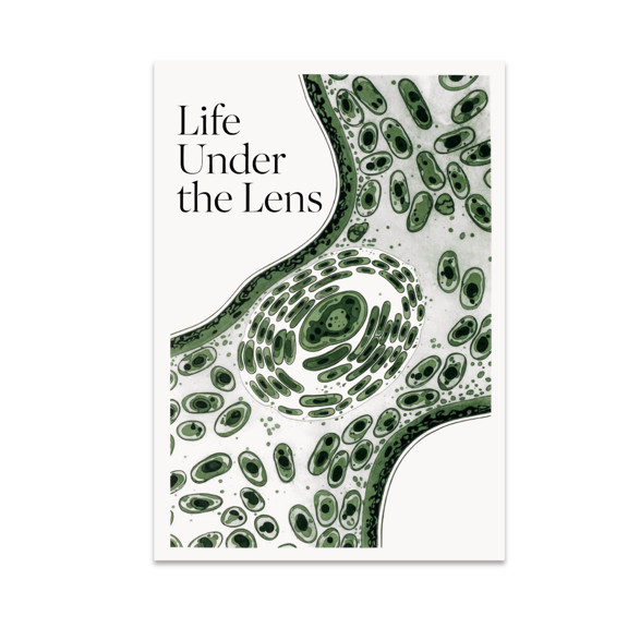 Microscopic Plant Cell Art - Science Enthusiast - 13x19 Poster Print