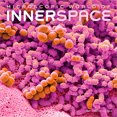 thumbnail image 1 of Microscopic World of Innerspace 2027 12x24" (Hanging) Wall Calendar | Plastic-Free, 1 of 9