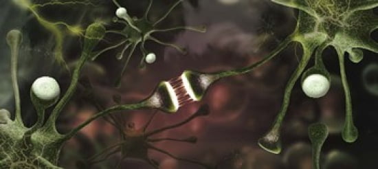 Microscopic image of brain neurons Canvas Art - Panoramic Images (30 x 14)