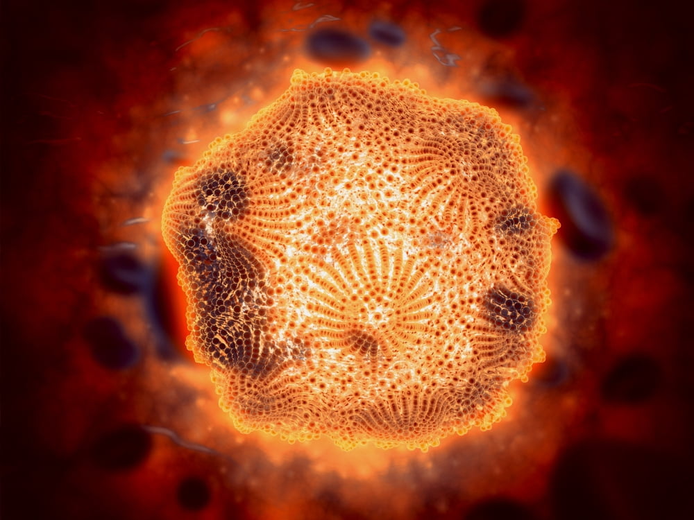 Microscopic view of Canine Parvovirus Canvas Art - Stocktrek Images (17 x 13)