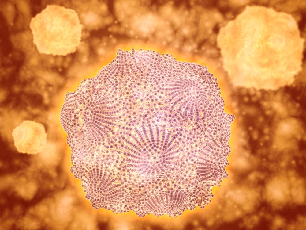 Microscopic view of Canine Parvovirus Canvas Art - Stocktrek Images (33 x 25)