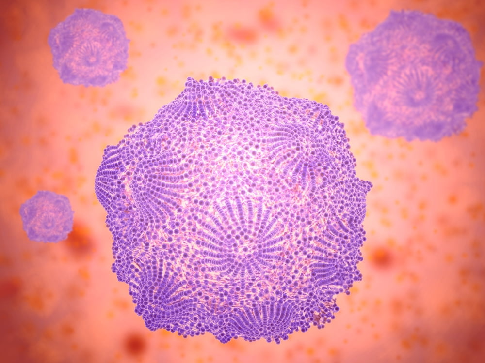 Microscopic view of Canine Parvovirus Canvas Art - Stocktrek Images (33 x 25)