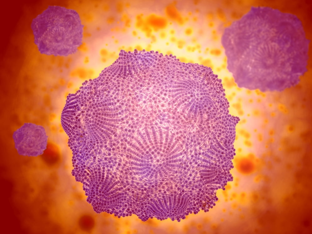 Microscopic view of Canine Parvovirus Canvas Art - Stocktrek Images (33 x 25)