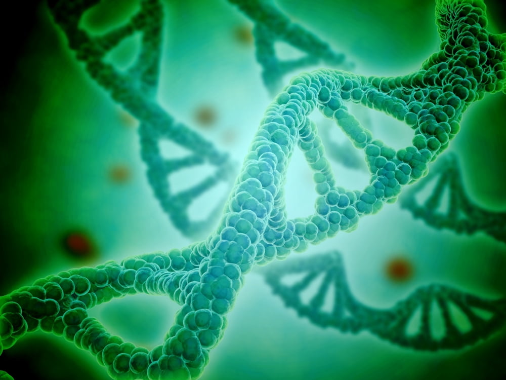 Microscopic view of DNA Canvas Art - Stocktrek Images (17 x 13)